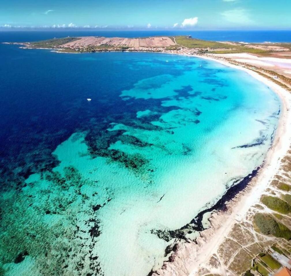 Funtana Meiga Marina Breeze 50Mt From Sea ภายนอก รูปภาพ
